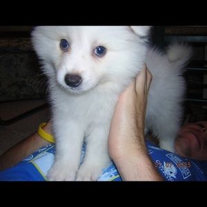 Meet your Posher, Naomi